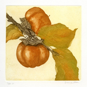 Two Persimmons
