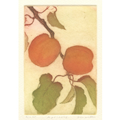 Apricots