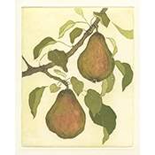 Comice Pears