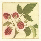 Raspberries